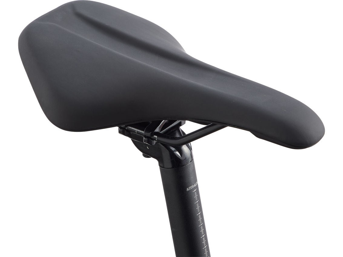 Giant Roam 2 Disc Black 2022