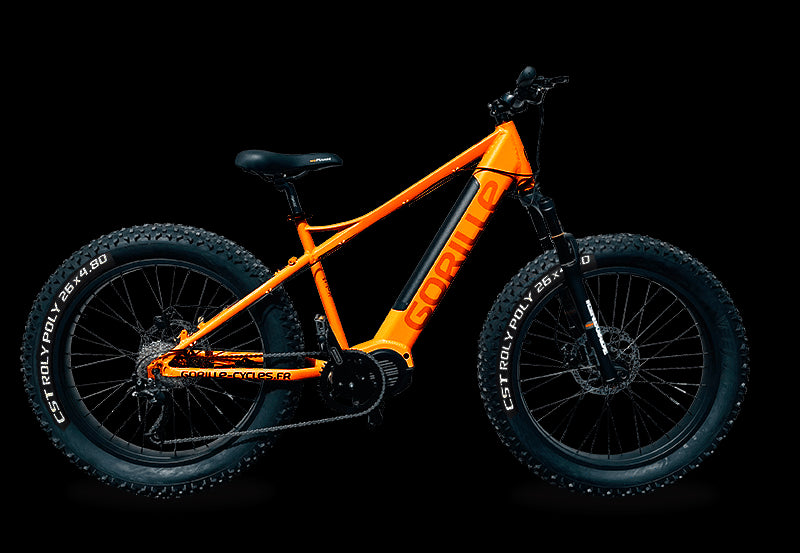 Gorille Athlète VTT 250W