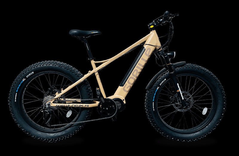 Gorille Athlète VTT 500W