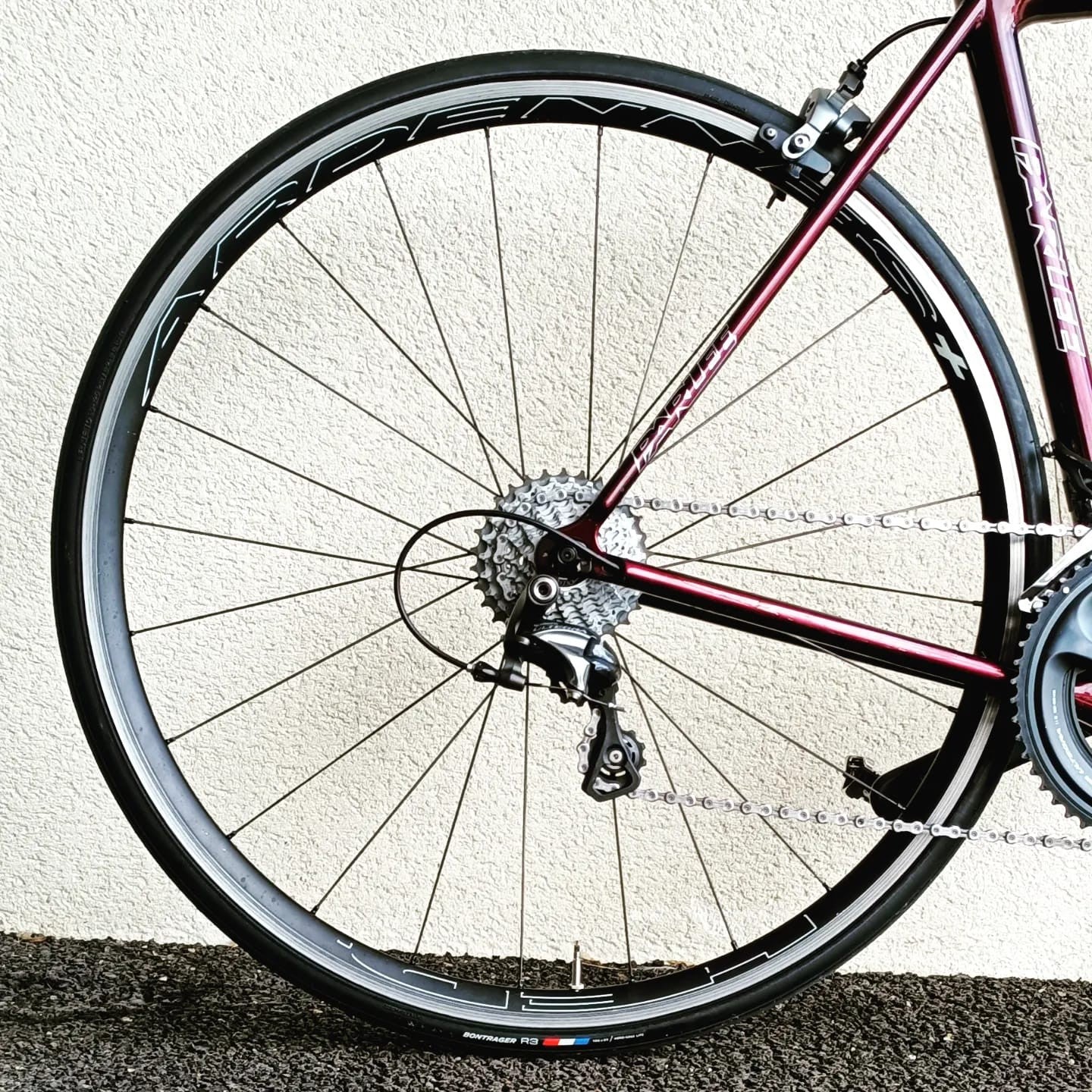 Parlee Z5 bordeaux patin